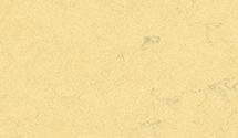 Castlemartin_CAMBRIA_THUMBNAIL.jpg
