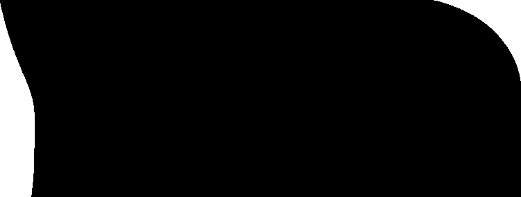HALFNOSE.jpg