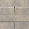 Scandina Gray