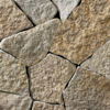 Lannon Buff Webwall